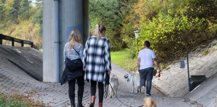 Social Walk