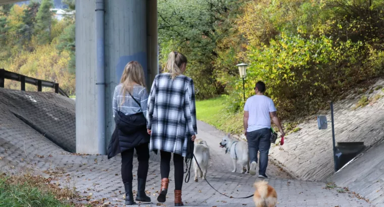 Social Walk