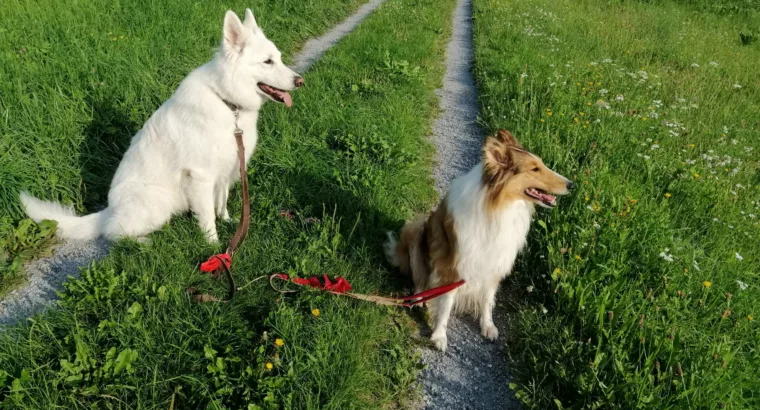 Begegnungstraining
